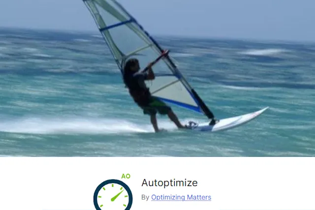 Cómo configurar Autoptimize en WordPress: tutorial paso a paso para mejorar el rendimiento de tu web | webCBZ.com